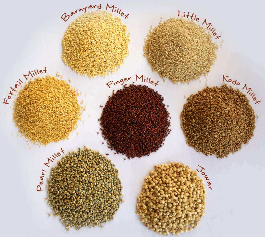 Millets In Tamil Siru Thaniyangal Millets For Weight Loss In Tamil